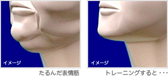 Q}jE[[ʓIɓ܂
